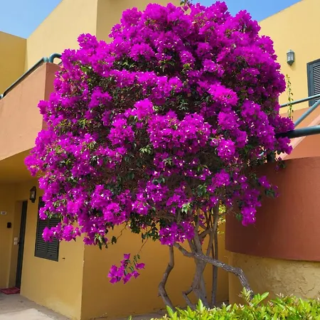Casa Del Caballero Corralejo Exterior photo